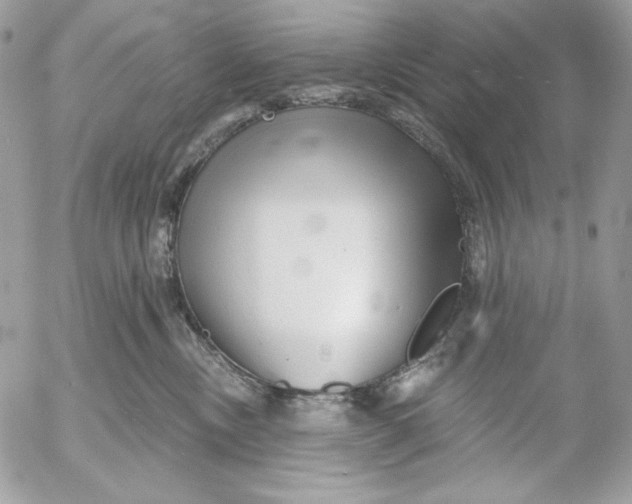 X0000054440378200508191617