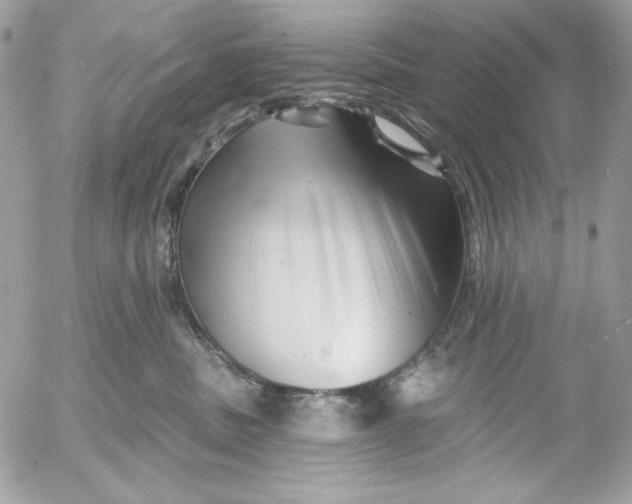 X0000054440379200508191617