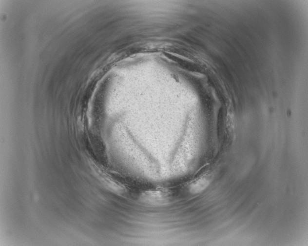 X0000054440381200508191617