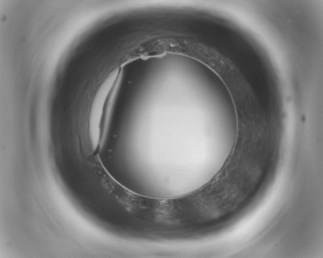 X0000054440382200508191617