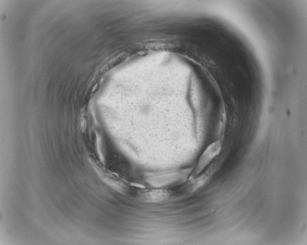 X0000054440383200508191617