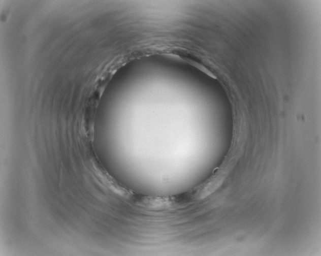 X0000054440384200508191617