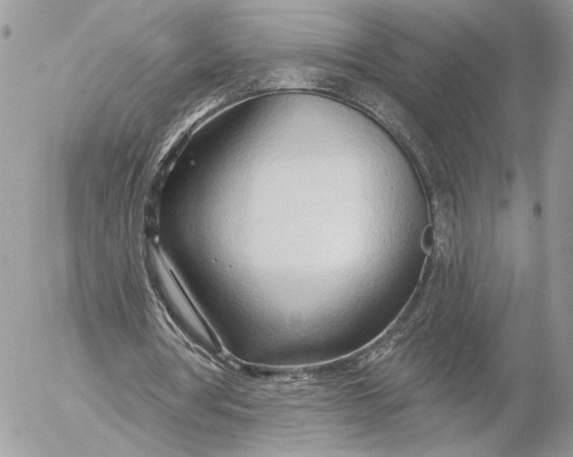 X0000054440386200508191617