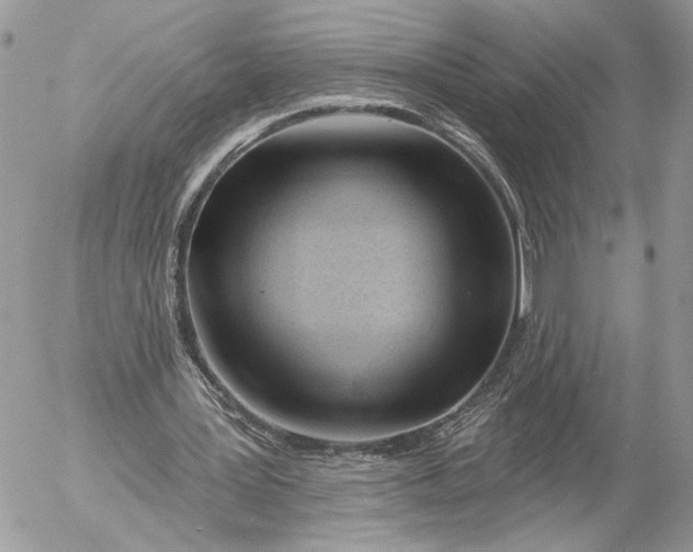 X0000054440387200508191617