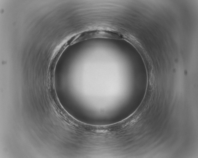 X0000054440388200508191617