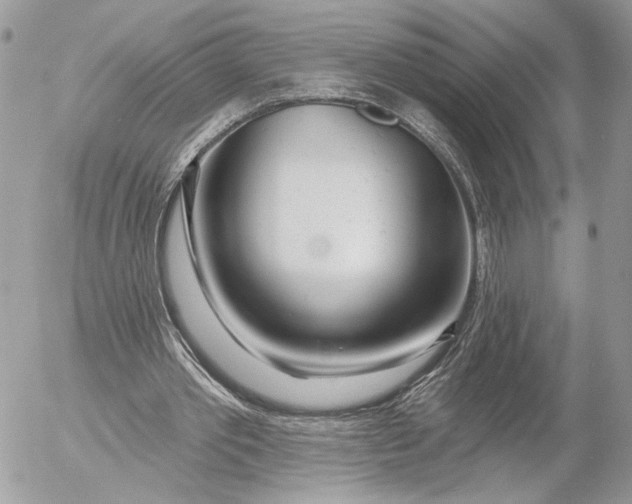 X0000054440389200508191617