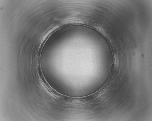 X0000054440390200508191617