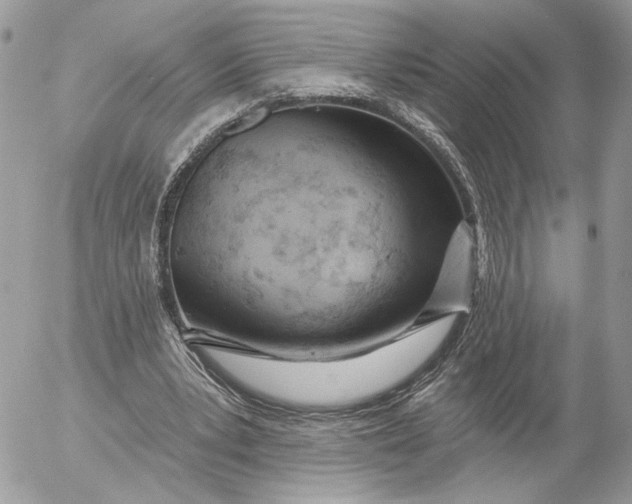 X0000054440391200508191617