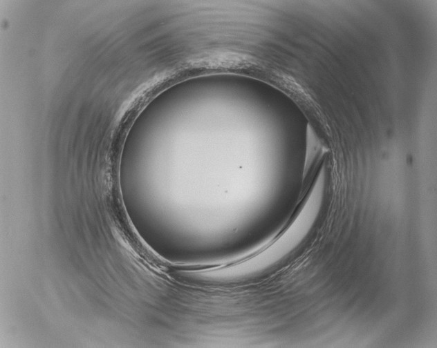 X0000054440392200508191616