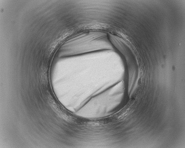 X0000054440394200508191616