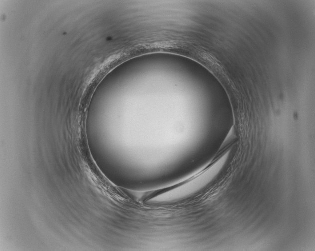 X0000054440395200508191616