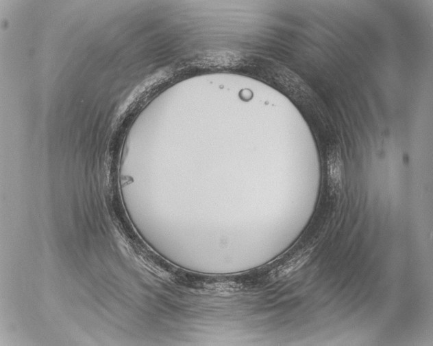 X0000054440396200508191616