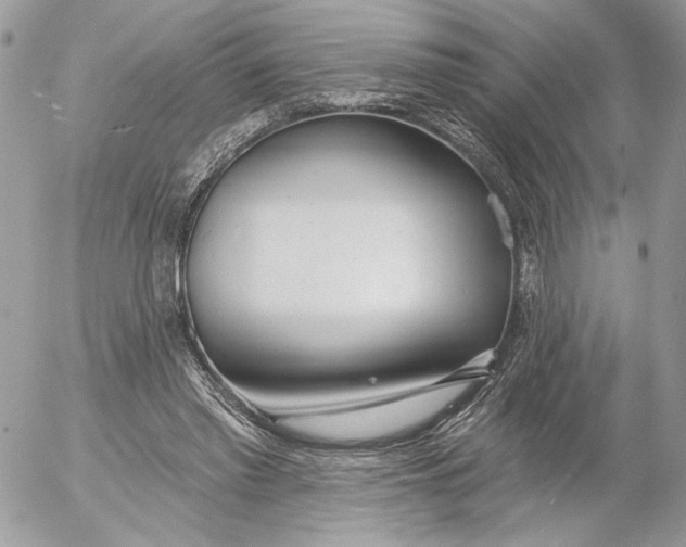 X0000054440397200508191616