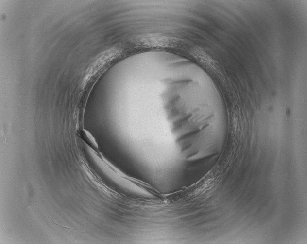 X0000054440398200508191616