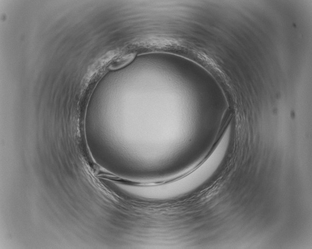 X0000054440399200508191616