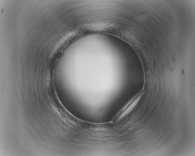 X0000054440400200508191616