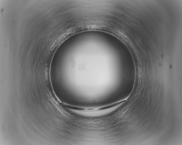 X0000054440401200508191616