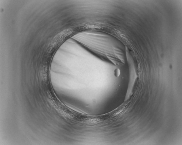 X0000054440402200508191616