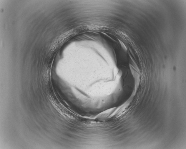 X0000054440405200508191616