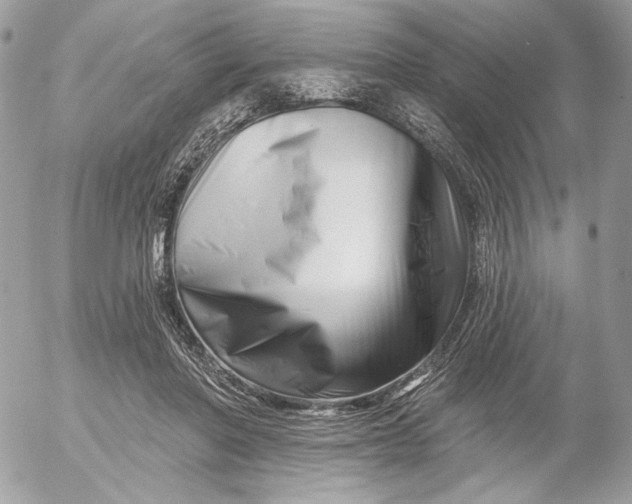 X0000054440406200508191616