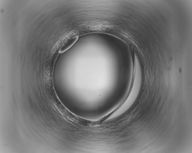 X0000054440407200508191616