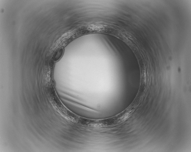 X0000054440408200508191616