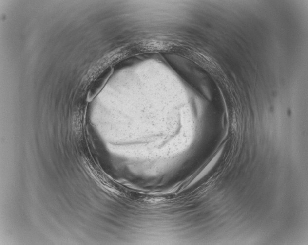 X0000054440409200508191616