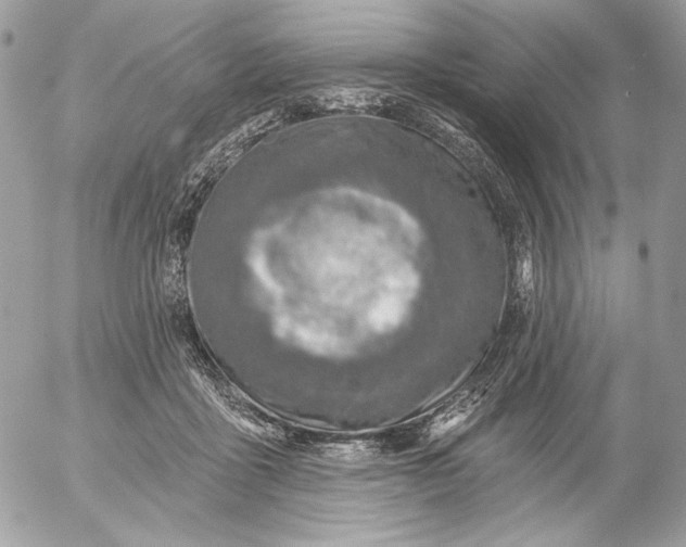 X0000054440411200508191616