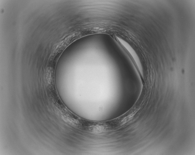 X0000054440412200508191616