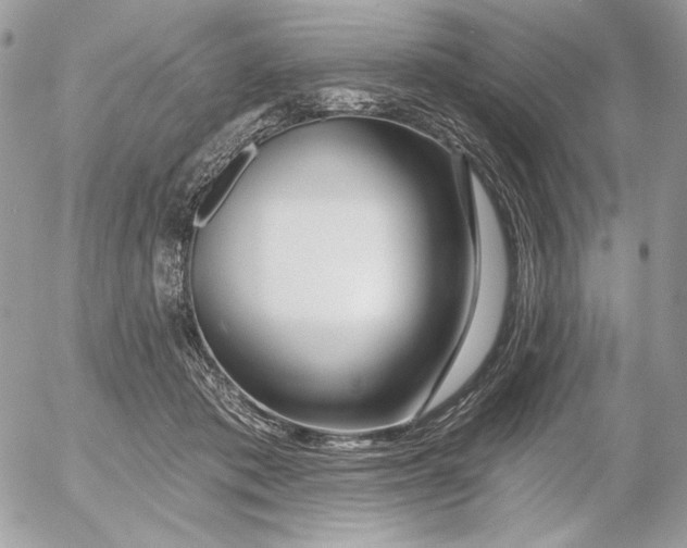 X0000054440413200508191616