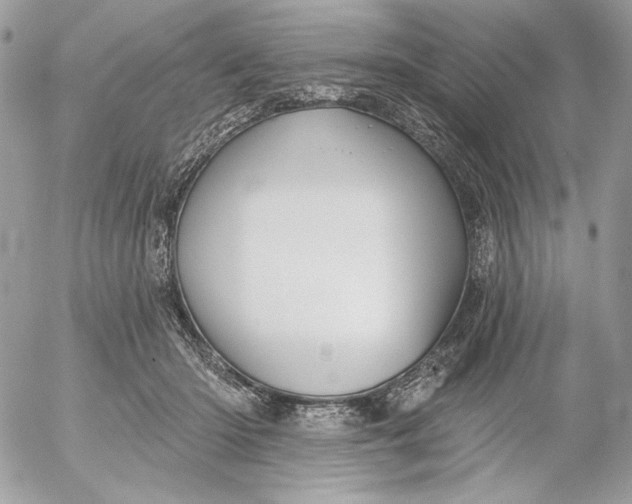 X0000054440414200508191616