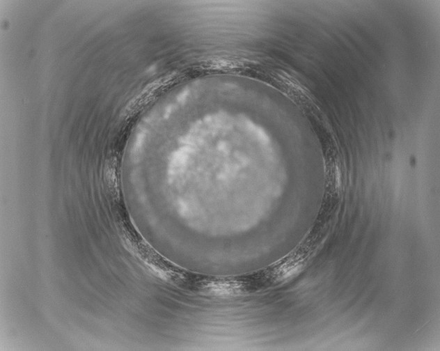 X0000054440415200508191616