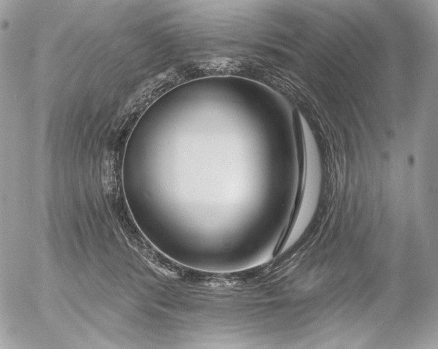 X0000054440416200508191616