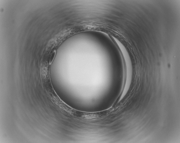 X0000054440417200508191616