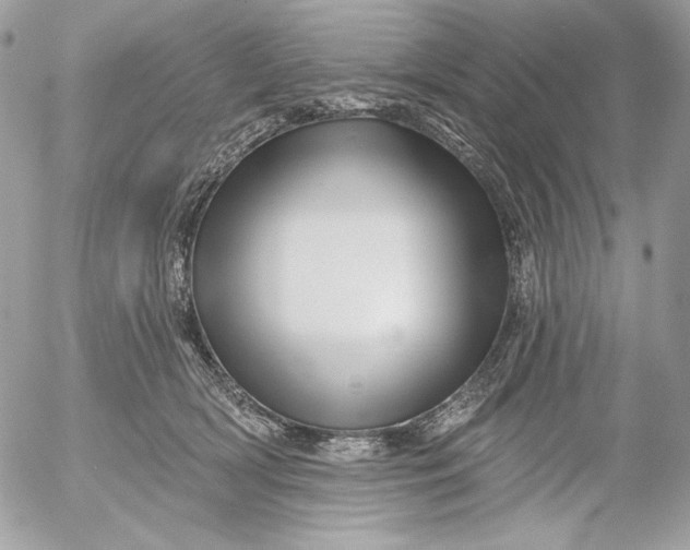 X0000054440418200508191616