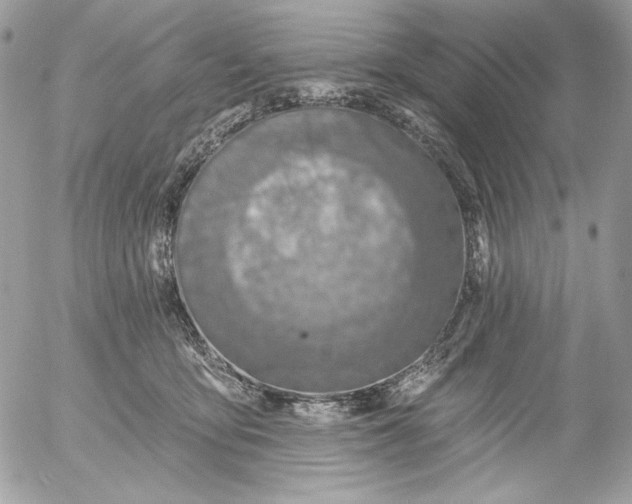 X0000054440419200508191616