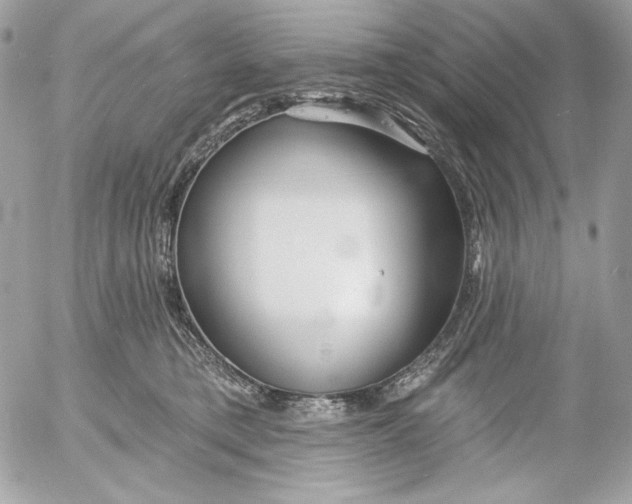 X0000054440421200508191616