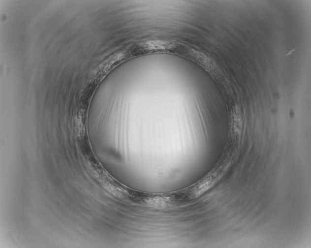 X0000054440422200508191616