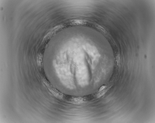 X0000054440423200508191616