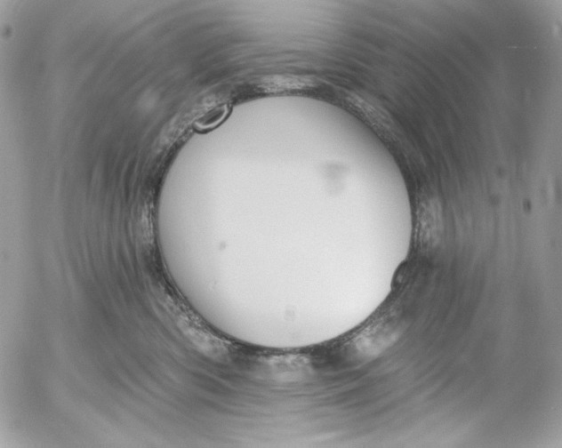 X0000054440426200508191616