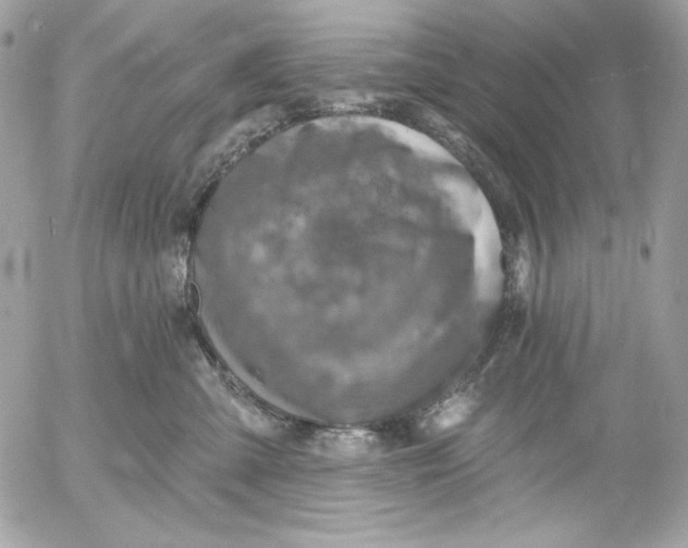 X0000054440427200508191616