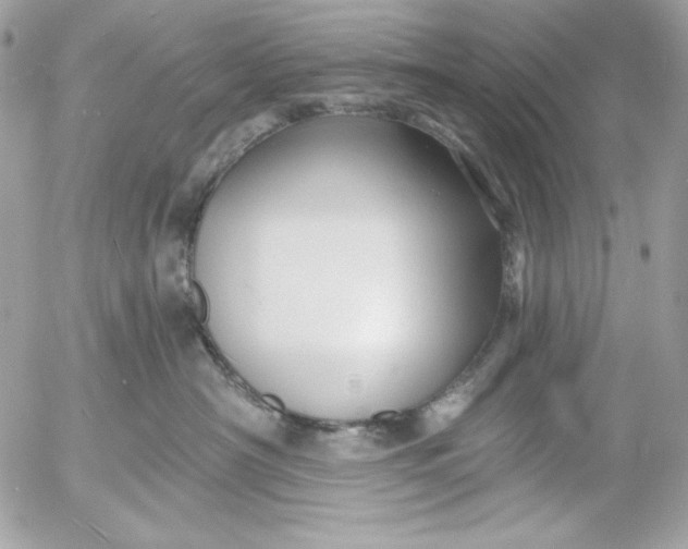 X0000054440430200508191616