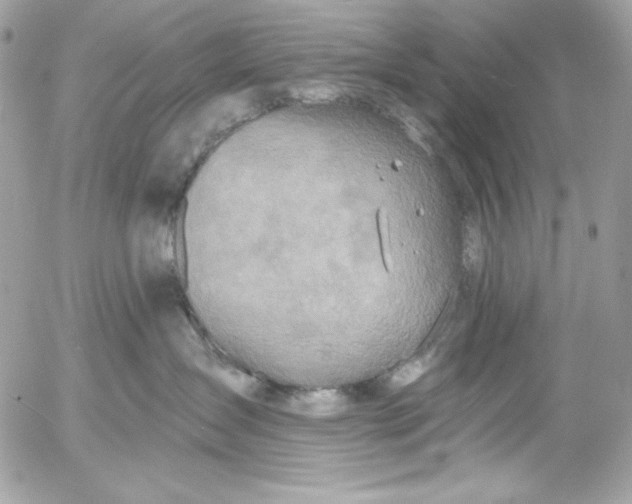 X0000054440431200508191616