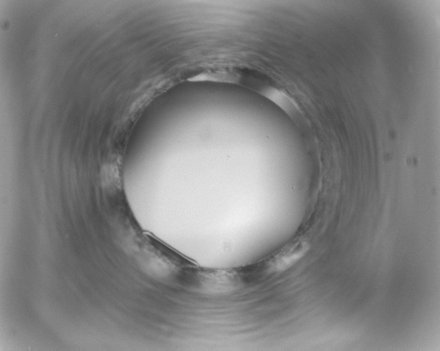 X0000054440432200508191616