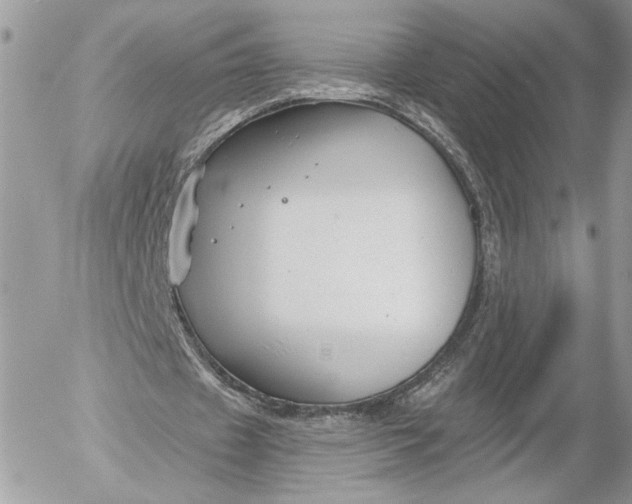 X0000054440433200508191615