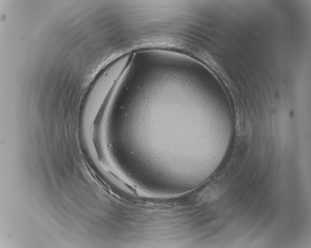 X0000054440434200508191615