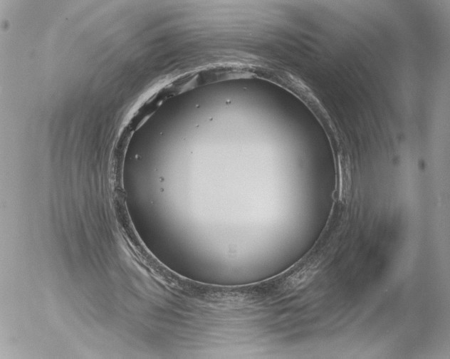 X0000054440435200508191615