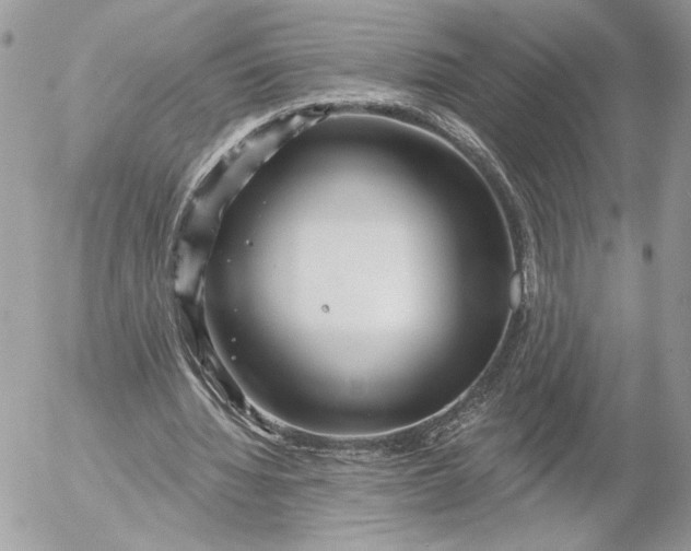 X0000054440436200508191615