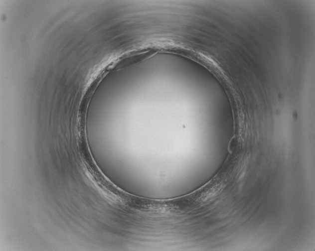 X0000054440439200508191615