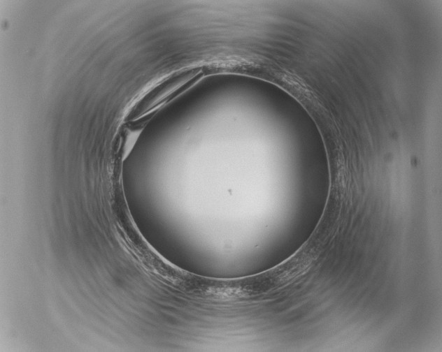 X0000054440440200508191615